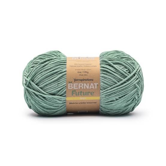 Bernat Future Yarn
